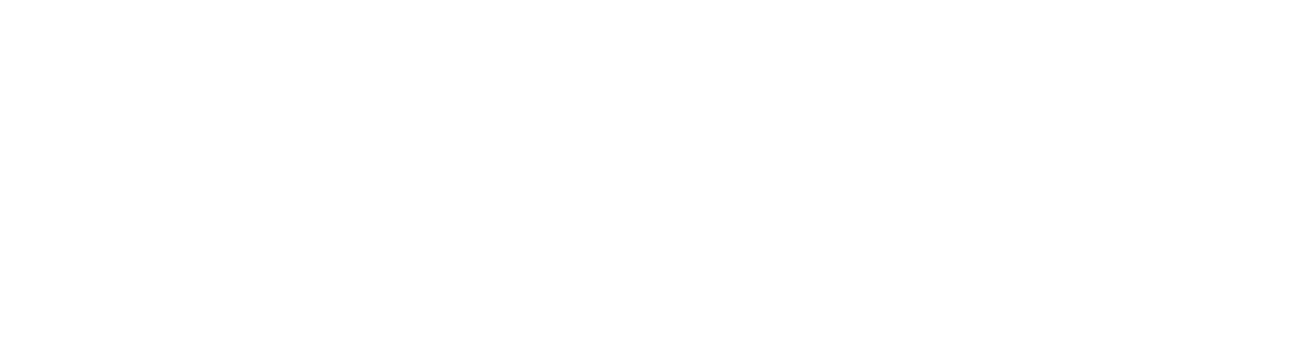 Inkludera assistans